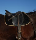 English saddle