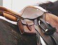 English Saddle with Sandwich Case and Stirrups on Dark Horse Royalty Free Stock Photo