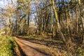 English scenic landscape in the morning at Felbrigg, Norfolk