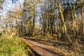 English scenic landscape in the morning at Felbrigg, Norfolk