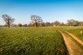 English scenic landscape in the morning at Felbrigg, Norfolk