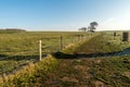 English scenic landscape in the morning at Felbrigg, Norfolk