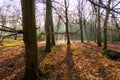 English scenic landscape in the morning at Felbrigg, Norfolk