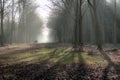 English scenic landscape in the morning at Felbrigg, Norfolk