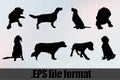 English Setter Dog Silhouette Bundle SVG