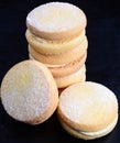 English Shortbread Royalty Free Stock Photo