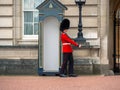 English soldier patrolling at Buckingham Palace Royalty Free Stock Photo