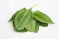 English spinach on white background