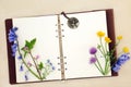 English Spring Wildflower Nature Study