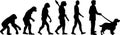 English Springer Spaniel evolution