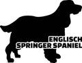 English Springer Spaniel silhouette real word