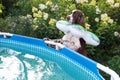 English springer spaniel with swimming ring afraid and looks into the pool in garden Royalty Free Stock Photo