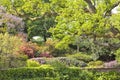 English springtime garden with flowers, oak trees Royalty Free Stock Photo