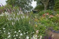 English style garden with mixed colourful flowers