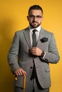 English style handsome young man wearing grey suit with one hand lifted standing with cane or umbrella in his hand Royalty Free Stock Photo