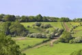 English summer countryside with riding paths