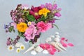 English Summer Flower Arrangement and Seashell Composition Royalty Free Stock Photo