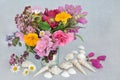 Beautiful Summer Flower and Herb Composition and Seashells Royalty Free Stock Photo