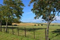 English summer landscape in North Yorkshire, an AONB