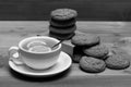 English tea and bakery concept. Oatmeal biscuits as tasty pastry for cup of tea Royalty Free Stock Photo