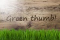 Sunny Wooden Background, Gras, Text Green Thumb