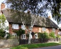 English Thatched Village Cottages