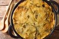 English vegetarian Bubble & Squeak of potatoes with cabbage and brussels sprouts close-up in a frying pan. Horizontal top view Royalty Free Stock Photo