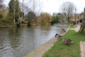 English village river with ducks landscape