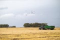 English wheat field harvesting Royalty Free Stock Photo