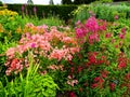 English wildflower gardens -giardino all'inglese fiori di campo