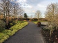 English winter garden with path and cloud sky