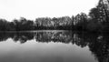 English winter scene showing bare trees reflected in still lake Royalty Free Stock Photo