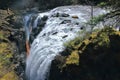 Englishman River Falls Provincial Park with Waterfall disappearing in deep Canyon, Vancouver Island, British Columbia Royalty Free Stock Photo