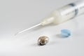 Engorged infected tick, syringe with vaccine and blue antibiotics pill