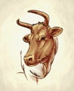 Engrave ink draw cow illustration