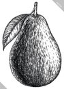 Engrave isolated avocado hand drawn graphic illustration Royalty Free Stock Photo