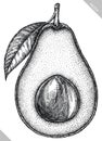 Engrave isolated avocado hand drawn graphic illustration