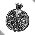 Engrave isolated pomegranate hand drawn graphic vector illustration