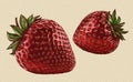 Engrave isolated strawberry hand drawn graphic illustration