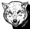 Engrave isolated wolf illustration sketch