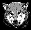 Engrave isolated wolf illustration sketch