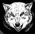 Engrave isolated wolf vector illustration sketch