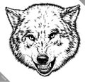 Engrave isolated wolf vector illustration sketch