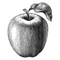 Engraved apple