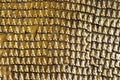 Engraved buddha images on Pindaya caves' wall - Myanmar