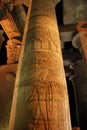 Engraved column in the temple of Kom-Ombo, Egypt Royalty Free Stock Photo