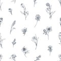 Engraved flowers pattern, botanical repeating print. Vintage outlined contoured floral plants, endless background
