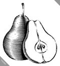 Engraved isolated engrave vector illustration of a pear Royalty Free Stock Photo