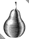 Engraved isolated engrave vector illustration of a pear Royalty Free Stock Photo