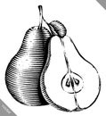 Engraved isolated engrave vector illustration of a pear Royalty Free Stock Photo